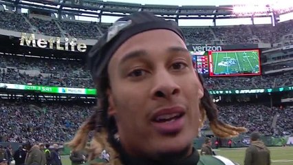 Robby Anderson campaigns for Pro Bowl during game