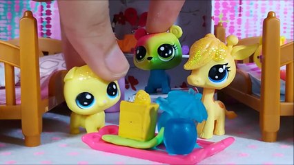 Minişler: Ödev Faciası | LPSEM miniş videoları