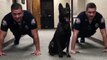 Police K9 Does Pushups With Officers