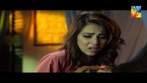 Alif Allah Aur Insaan Episode 15 HUM TV Drama - 1 August 2017 (3)