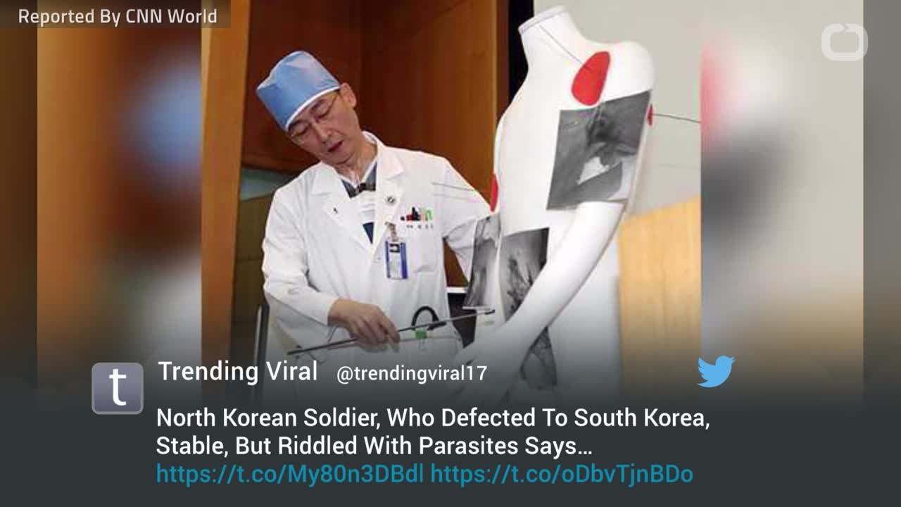 Parasitic Worms In Defector Reveal Health Conditions In N Korea