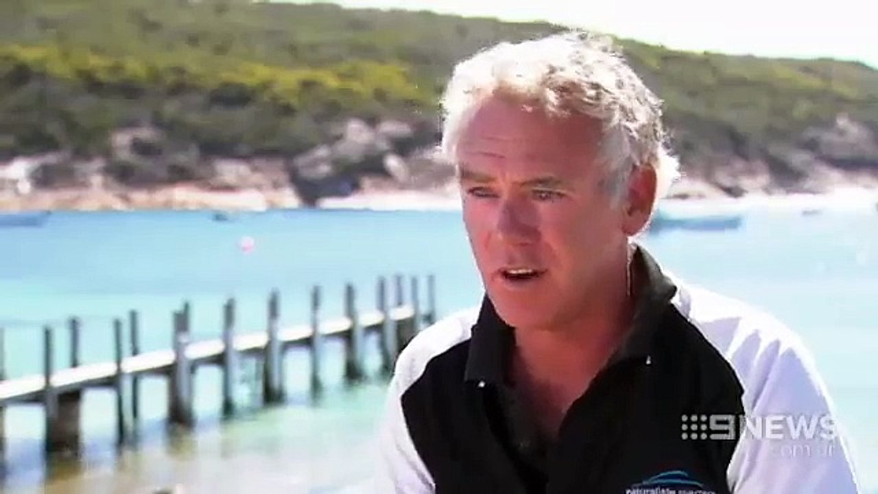 KILLER WHALE HOTSPOT in Bremer Canyon, Australia.  Channel 9 news.-xQCTWLmPzPw.CUT.01'09-01'45