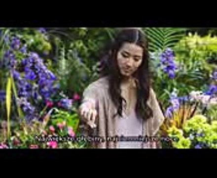 Skillet - Stars piosenka do filmu Chata [napisy PL]