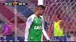 Bahia 3 x 1 Santos - Melhores Momentos & Gols - Brasileirão Série A 2017 ✅