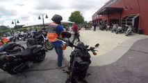 2018 Harley Fat Bob -VS- 2017 Harley Dyna Low Rider S!--GMj2CcCyws