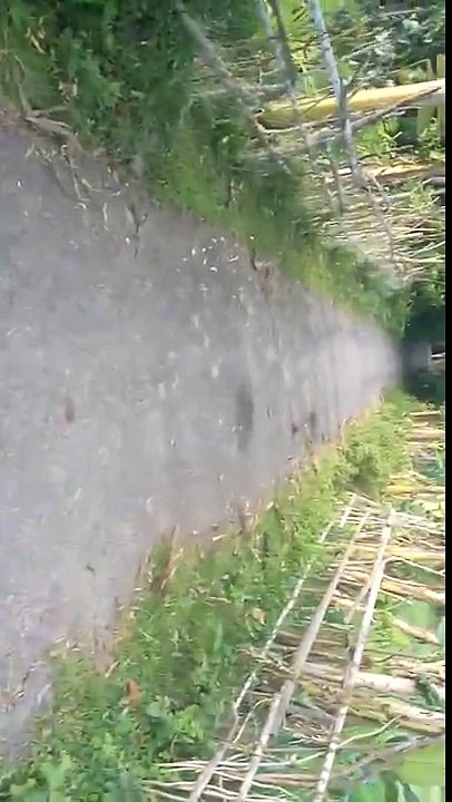 Travel_HD by nature village road