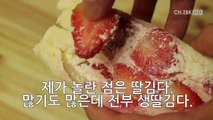 [벨미스] [리뷰] 딸기 가득 화제의 딸기 샌드위치! 제가 한 번 먹어보겠습니다!-gAKcAY0GnH0