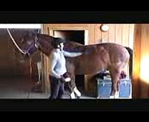 How to Activate Your Horse's Core Muscles