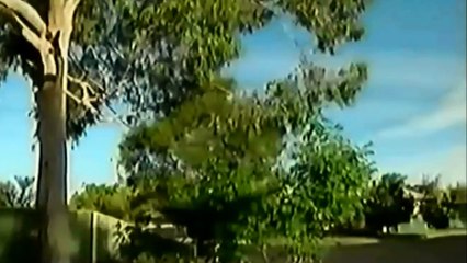 Chemtrails Report - WIN TV NEWS, Dubbo, Australia-X8xm0v-tIH4.CUT.01'09-01'45