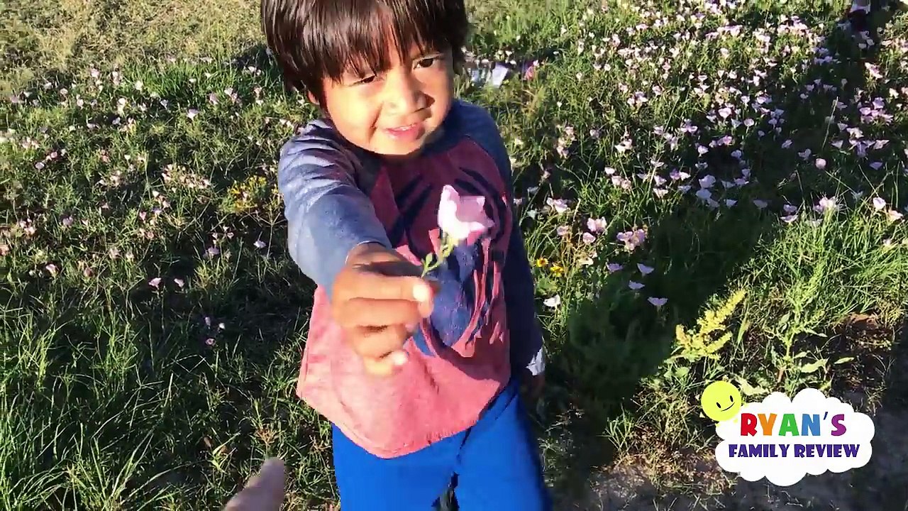 Twin Babies Night Routine Bedtime! Family Fun Kids Playground with Ryan's Family Review Vlog-ka7jKx0BwFY