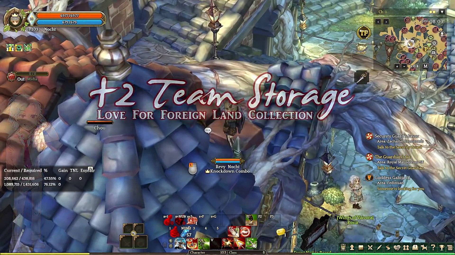 Tree of Savior _  2 Team Storag