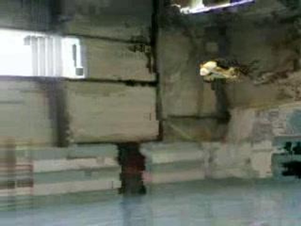 Avion