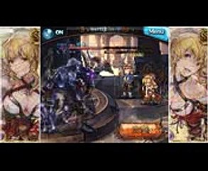 【グラブル】ヴィーラ奥義まとめ10種類+α【天井版】