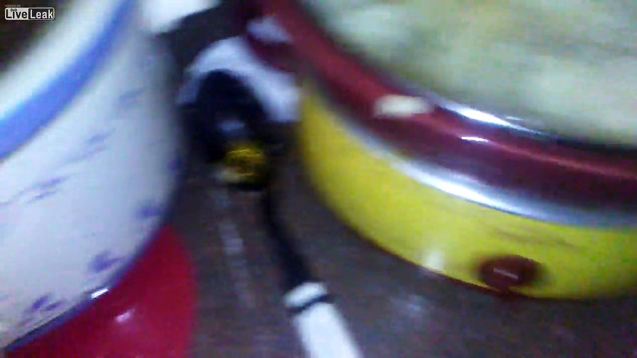 Big Sharks Food porn episode 8