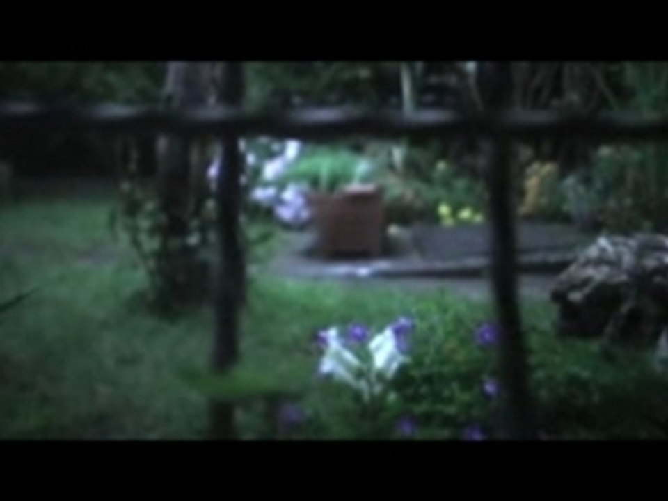 test cinema filmé en minidv+kit mini35 maison