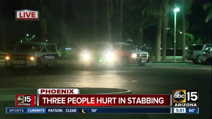 Police: Three stabbed during altercation at Phoenix park