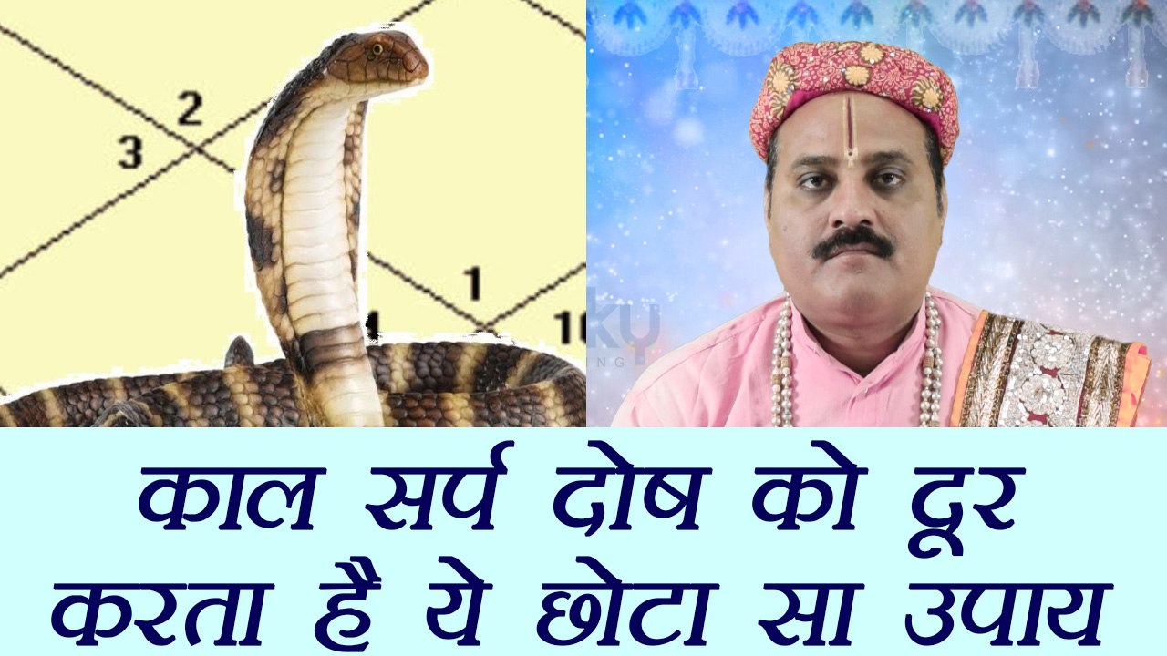 काल सर्प दोष: Kaal Sarp Dosh को दूर करने का सरल...