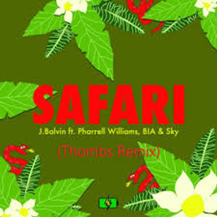 J Balvin ft Pharrell Williams, BIA & Sky - Safari ( Vdj Kara Remix )