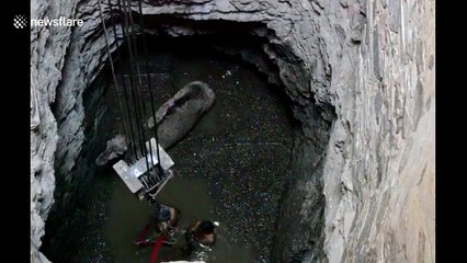 Villagers pull out camel from ‘haunted’ well