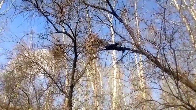 12 FAIL Compilation from Russia Funny Jokes Gags Video