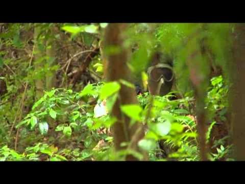 APPT Cebu 2010 Team PokerStars Asia goes to battle! - PokerStars.com