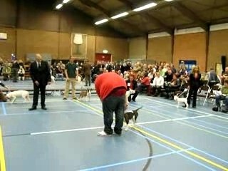 dutch trophy show 2007 untitled cremaster cycle project one