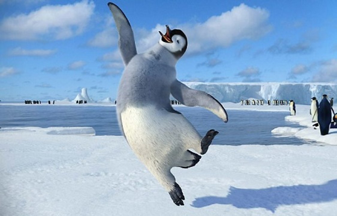 Cenas Fantásticas Com Pinguins