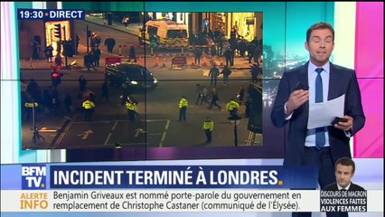 Griveaux, Castaner, Dusspot… ce qu'il faut retenir du remaniement ministériel