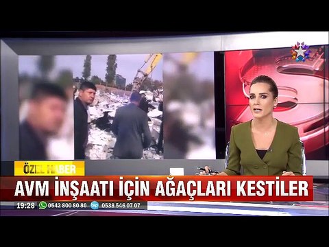 AVM ve Rezidans inşaatı için okul arazisindeki ağaçları böyle kestiler