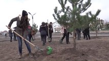 Harçlıklarıyla Aldıkları Fidanları Diktiler