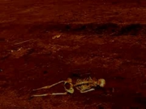 after effects set expension