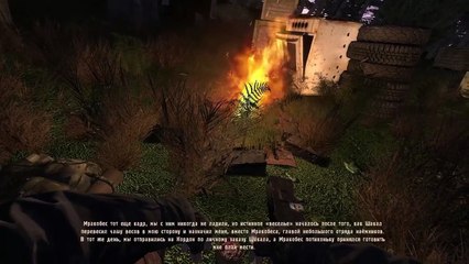 Сталкер | Пространственная Аномалия | Часть 3 | Годный контент | HappyRoman