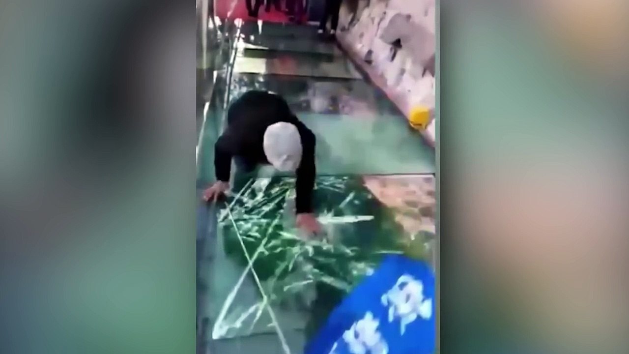 La vitre s'est cassée... (ʘ_ʘ)