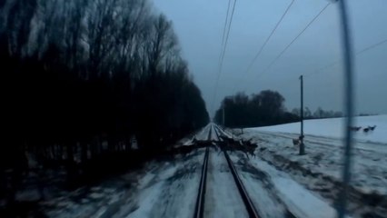 Ce train russe croise un troupeau de biche en pleine voie ferrée... Chaud