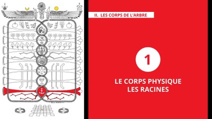 L'Arbre de Vie - Alchimie & Gnose (09/20) PHYSIQUE – LES RACINES