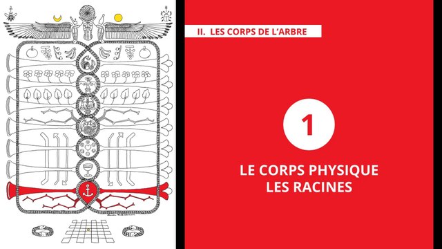 L'Arbre de Vie - Alchimie & Gnose (09/20) PHYSIQUE – LES RACINES