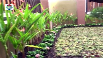 Tak Kunjung Nikah, Zaskia Gotik dan Ryan Putus? - Hot Issue Pagi