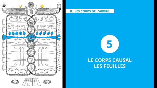 L'Arbre de Vie - Alchimie & Gnose (13/20) CAUSAL – LES FEUILLES