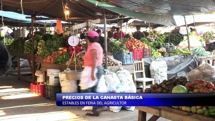 Precios de la canasta básica estables en feria del agricultor