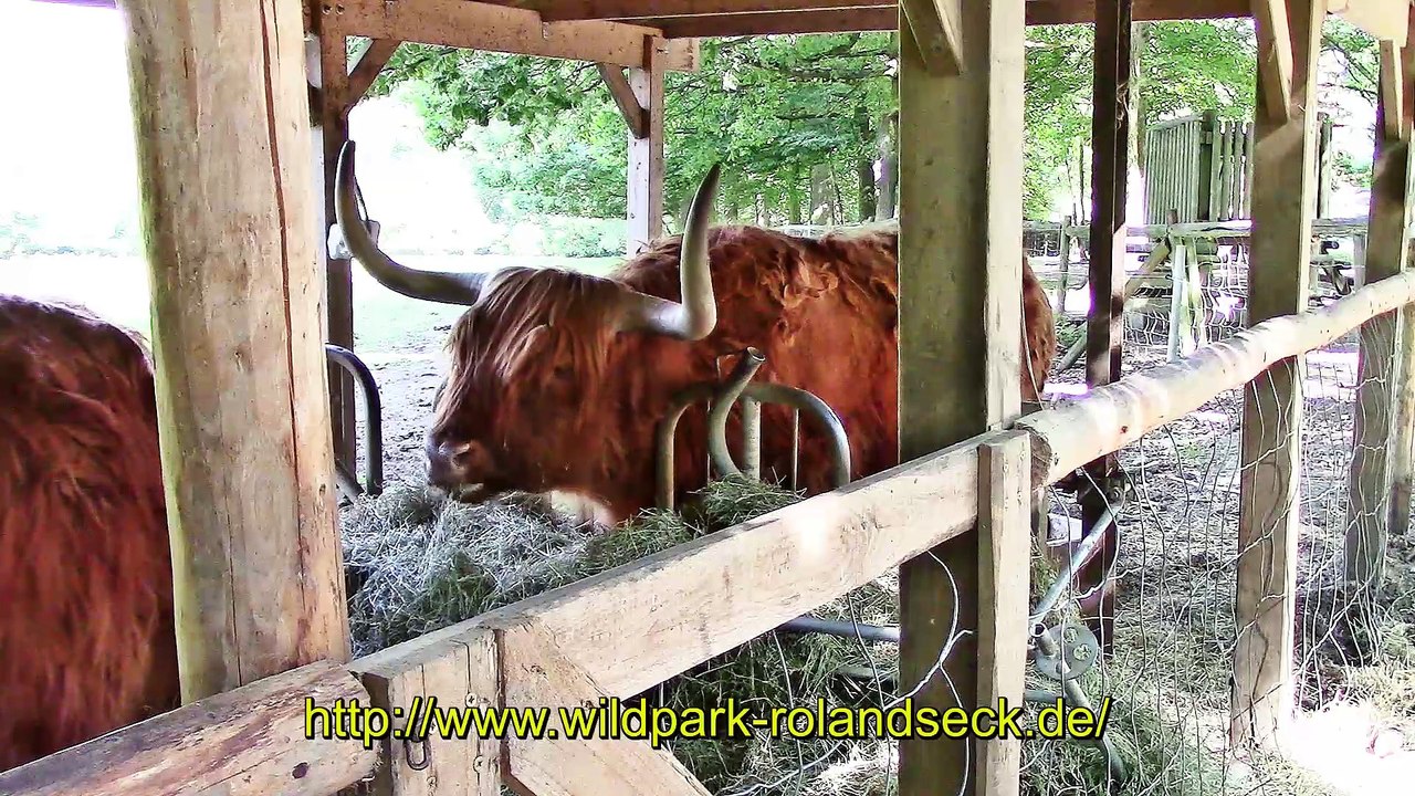 Zu Besuch im Wildpark Rolandseck – 2