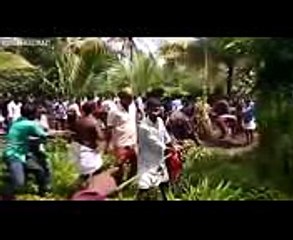 11 Saat Yeri Kazan Fil, Sonunda Çıkardığı Şeyle Herkesin Büyük Şaşkınlık Yaşamasına Neden Oldu