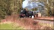 British Steam Engine hauling a Goods Train through the English Countryside