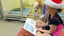 Des enfants font la lecture aux chiens des refuges pour les préparer à la sortie