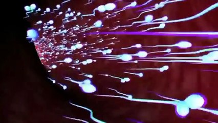 Women Health - How To Conceive a Baby Boy Pregnancy- Medical Videos