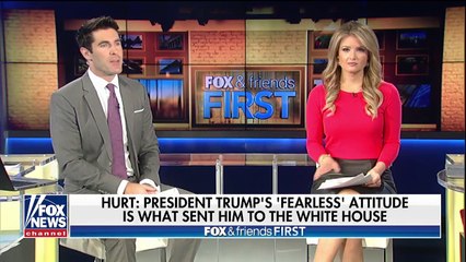 Hurt: President Trump's 'fearless' attitude got him elected