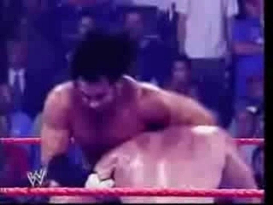 Survivor Series 2005 Story