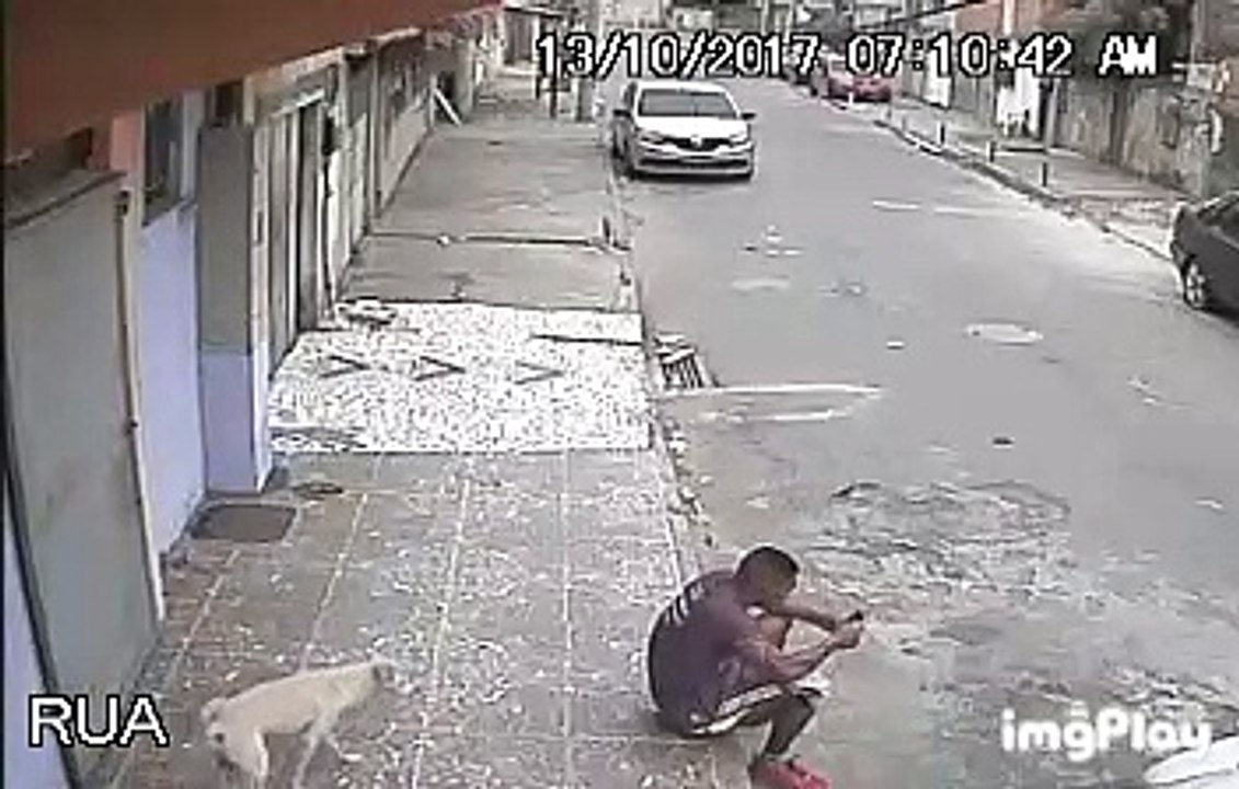 Dog piss a man