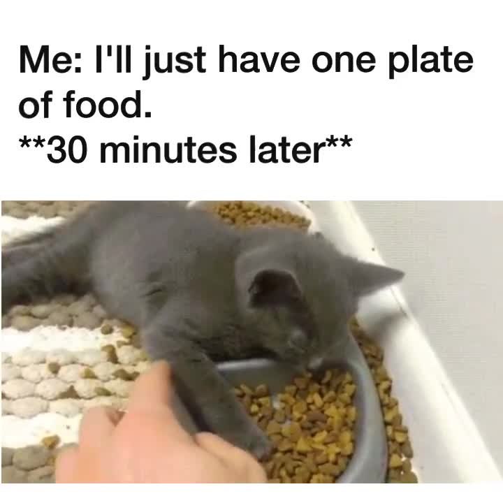 Thanksgiving Struggles 101