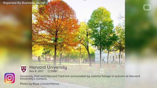 Ivanka Trump stands up for Malia Obama