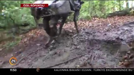 ABD ve Çin'in robot rekabeti bunu da yaptırdı